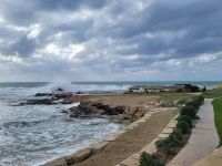 Neujahrsspaziergang zum Hafen von Paphos  &ndash; &copy; Celine Patzak (Eberhardt TRAVEL)