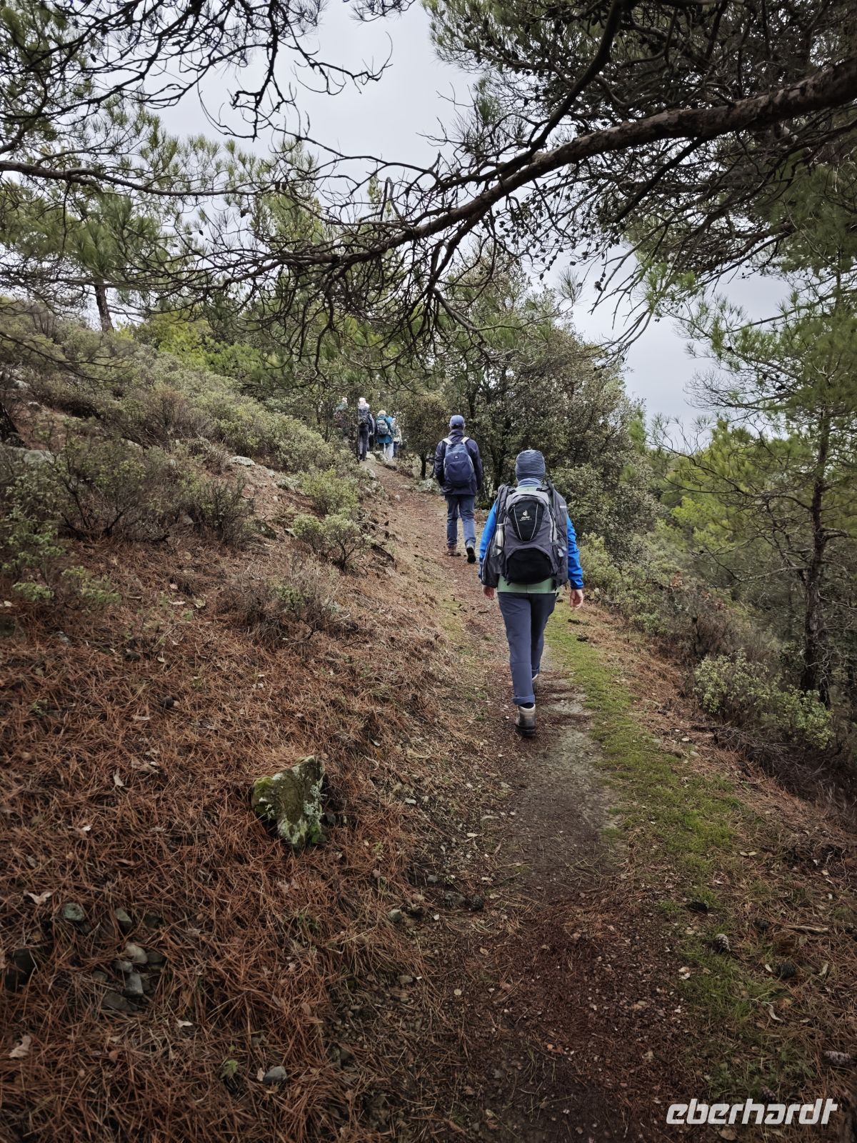 Wanderung entlang des Madari-Wanderpfad im Troodosgebirge &ndash; &copy; Peter Walther (Eberhardt TRAVEL)