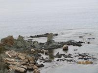 Akamas - Wanderung &ndash; &copy; Anne Bemmann (Eberhardt TRAVEL)