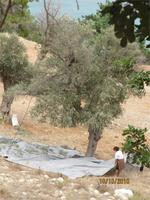 Akamas - Wanderung &ndash; &copy; Anne Bemmann (Eberhardt TRAVEL)