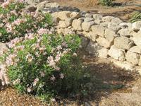 Hafen von Pafos und Archäologischer Park &ndash; &copy; Anne Bemmann (Eberhardt TRAVEL)