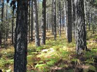 Kaledonia-Wanderung &ndash; &copy; Anne Bemmann (Eberhardt TRAVEL)