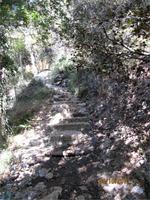 Kaledonia-Wanderung &ndash; &copy; Anne Bemmann (Eberhardt TRAVEL)