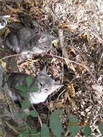 Kaledonia-Wanderung &ndash; &copy; Anne Bemmann (Eberhardt TRAVEL)