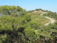 Madari-Wanderung &ndash; &copy; Anne Bemmann (Eberhardt TRAVEL)
