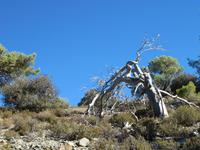 Madari-Wanderung &ndash; &copy; Anne Bemmann (Eberhardt TRAVEL)