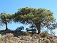 Madari-Wanderung &ndash; &copy; Anne Bemmann (Eberhardt TRAVEL)