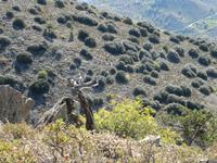 Madari-Wanderung &ndash; &copy; Anne Bemmann (Eberhardt TRAVEL)