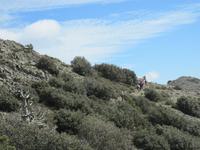 Troodosgebirge - Auf dem Weg zum Adolfoi &ndash; &copy; Britt Reuter-Bracklow (Eberhardt TRAVEL)