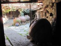 &copy; Britt Reuter-Bracklow (Eberhardt TRAVEL)