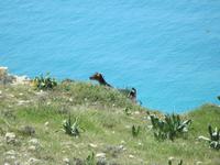 Pissouri-Wanderung &ndash; &copy; Britt Reuter-Bracklow (Eberhardt TRAVEL)