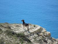 Pissouri-Wanderung &ndash; &copy; Britt Reuter-Bracklow (Eberhardt TRAVEL)