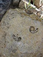 Pissouri-Wanderung &ndash; &copy; Britt Reuter-Bracklow (Eberhardt TRAVEL)