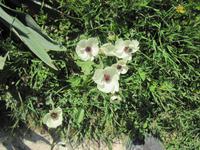 Pissouri-Wanderung &ndash; &copy; Britt Reuter-Bracklow (Eberhardt TRAVEL)