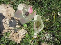 Pissouri-Wanderung &ndash; &copy; Britt Reuter-Bracklow (Eberhardt TRAVEL)