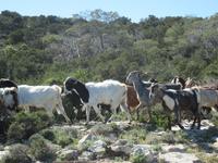 &copy; Britt Reuter-Bracklow (Eberhardt TRAVEL)