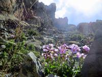Wände von Madari  &ndash; &copy; Anna Stiebing (Eberhardt TRAVEL)