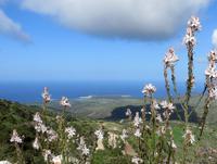 Südküste Zypern &ndash; &copy; Anna Stiebing (Eberhardt TRAVEL)
