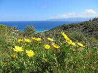 Akamas Halbinsel &ndash; &copy; Anna Stiebing (Eberhardt TRAVEL)