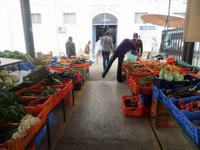Markt Paphos &ndash; &copy; Anna Stiebing (Eberhardt TRAVEL)