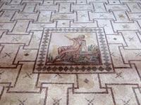 Mosaike von Paphos &ndash; &copy; Anna Stiebing (Eberhardt TRAVEL)