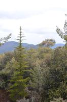 Trodoos-Gebirge &ndash; &copy; Helene Johannsen (Eberhardt TRAVEL)