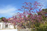 Kyrenia &ndash; &copy; Helene Johannsen (Eberhardt TRAVEL)