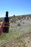 Commandaria &ndash; &copy; Helene Johannsen (Eberhardt TRAVEL)