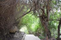 Botanischer Garten &ndash; &copy; Helene Johannsen (Eberhardt TRAVEL)