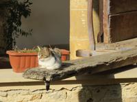 Silvester-Rundreise Zypern - Nikosia &ndash; &copy; Franziska Bergmann (Eberhardt TRAVEL)