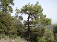 DSC00330 &ndash; &copy; Cornelia Ritter (Eberhardt TRAVEL)