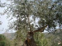 DSC00388 &ndash; &copy; Cornelia Ritter (Eberhardt TRAVEL)