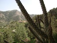 DSC00396 &ndash; &copy; Cornelia Ritter (Eberhardt TRAVEL)