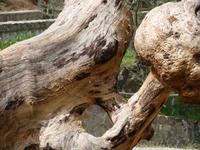 DSC00401 &ndash; &copy; Cornelia Ritter (Eberhardt TRAVEL)