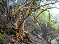 DSC00441 &ndash; &copy; Cornelia Ritter (Eberhardt TRAVEL)
