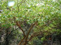 DSC00449 &ndash; &copy; Cornelia Ritter (Eberhardt TRAVEL)