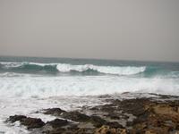 DSC00478