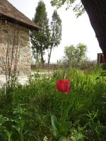P1170963 &ndash; &copy; Cornelia Ritter (Eberhardt TRAVEL)