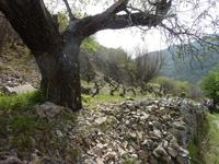 P1170975 &ndash; &copy; Cornelia Ritter (Eberhardt TRAVEL)