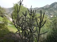 P1170990 &ndash; &copy; Cornelia Ritter (Eberhardt TRAVEL)