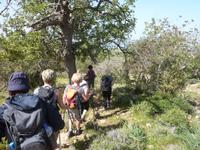 P1180021 &ndash; &copy; Cornelia Ritter (Eberhardt TRAVEL)