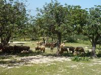 P1180024 &ndash; &copy; Cornelia Ritter (Eberhardt TRAVEL)