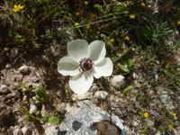 P1180039 &ndash; &copy; Cornelia Ritter (Eberhardt TRAVEL)