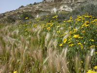 P1180047 &ndash; &copy; Cornelia Ritter (Eberhardt TRAVEL)