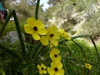 P1180060 &ndash; &copy; Cornelia Ritter (Eberhardt TRAVEL)