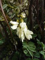 Wanderung 1.7 &ndash; &copy; Cornelia Ritter (Eberhardt TRAVEL)
