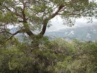 Wanderung 1.9 &ndash; &copy; Cornelia Ritter (Eberhardt TRAVEL)