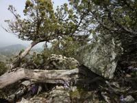 Wanderung 1.23 &ndash; &copy; Cornelia Ritter (Eberhardt TRAVEL)