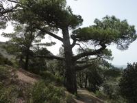 Wanderung 1.25 &ndash; &copy; Cornelia Ritter (Eberhardt TRAVEL)