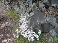 Wanderung 1.27 &ndash; &copy; Cornelia Ritter (Eberhardt TRAVEL)